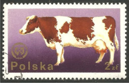 AF-63 Polska Vache Cow Kuh Koe Mucca Vacca Vaca - Cows