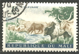 AF-65 Mali Vache Cow Kuh Koe Mucca Vacca Vaca Mouton Sheep Schapen Pecora Oveja - Agriculture