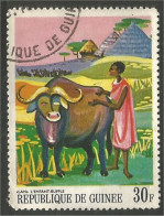 AF-49 Guinée Vache Cow Kuh Koe Mucca Vacca Vaca Taureau Bull - Koeien