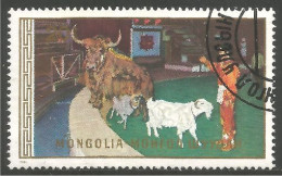 AF-55 Mongolie Chèvre Goat Ziege Vache Cow Kuh Mucca Mouton Bélier Schapen - Landbouw