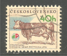 AF-51 Ceskoslovenko Vache Cow Kuh Koe Mucca Vacca Vaca Taureau Bull - Landbouw