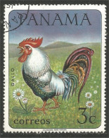 AF-30 Panama Coq Rooster Hahn Haan Gallo - Gallináceos & Faisanes