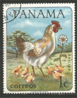 AF-29 Panama Poule Hen Huhn Poussin Chicken Coq Rooster Hahn Haan Gallo - Gallináceos & Faisanes