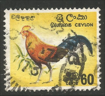 AF-23 Ceylan Coq Rooster Hahn Haan Gallo - Galline & Gallinaceo