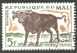 AF-38 Mali Vache Cow Kuh Koe Mucca Vacca Vaca Taureau Bull - Mucche