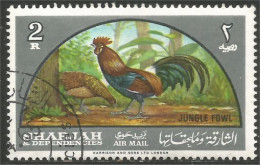 AF-16 Sharjah Coq Rooster Hahn Haan Gallo - Hoendervogels & Fazanten