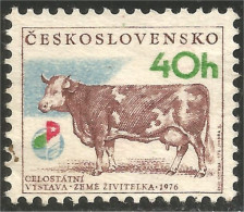 AF-7 Ceskoslovenko Vache Cow Vaca Kuh Koe Mucca Vacca - Vacas