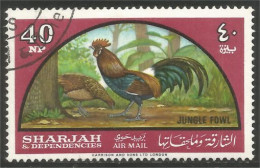 AF-14 Sharjah Coq Rooster Hahn Haan Gallo Poule Hen Huhn - Hoendervogels & Fazanten