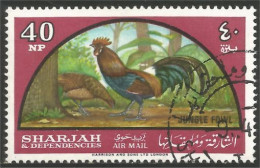 AF-15 Sharjah Coq Rooster Hahn Haan Gallo - Gallinacées & Faisans