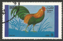 AF-10 Dhufar Coq Rooster Hahn Haan Gallo - Galline & Gallinaceo