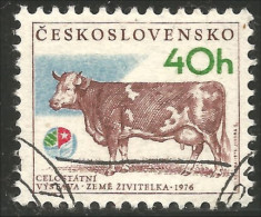 AF-9 Ceskoslovenko Vache Cow Vaca Kuh Koe Mucca Vacca - Agricultura