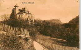 13879129 Birseck Schloss Birseck Birseck - Andere & Zonder Classificatie