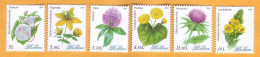 2024 Moldova  Wild Flowers, Flora, Nature 6v Mint - Andere & Zonder Classificatie