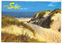 AK 211484 GERMANY - Insel Sylt - Sylt