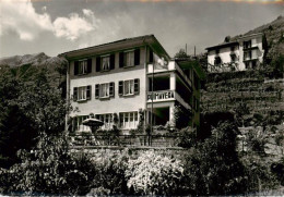 13868717 Brissago Lago Maggiore TI Pensione Ristorante Primavera  - Other & Unclassified