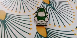 PINS IUT VALENCE - Autres & Non Classés