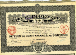 Mexico: MINAS PEDRAZZINI - Gold And Silver Mining Company - Altri & Non Classificati