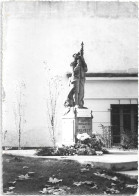 BELVEZE Du RAZES   Monument Aux Morts - Autres & Non Classés