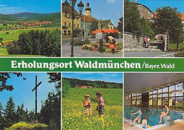 AK 211500 GERMANY - Waldmünchen / Bayer. Wald - Otros & Sin Clasificación