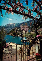 13843537 Ascona Lago Maggiore TI Collina S Michele  - Other & Unclassified