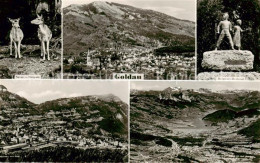 13842707 Goldau Arth SZ Natur Und Tierpark Panorama Bergsturz Denkmal   - Andere & Zonder Classificatie