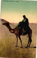 EGYPTE / CAMEL DRIVER - Le Caire