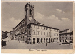 1952 OSIMO  PIAZZA MUNICIPIO    ANCONA - Ancona