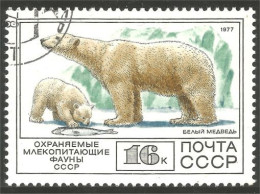 AS-184 Russie Bar Ours Polaire Polar Bear Orso Suportar Soportar Oso - Bears