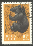 AS-181 Russie Bar Ours Bear Orso Suportar Soportar Oso - Bears