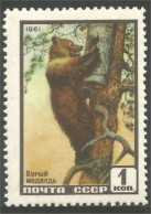 AS-180b Russie Bar Ours Bear Orso Suportar Soportar Oso - Osos