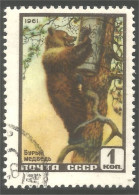 AS-180a Russie Bar Ours Bear Orso Suportar Soportar Oso - Osos