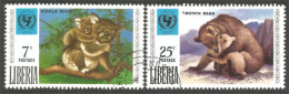 AS-171 Liberia Koala Bar Ours Bear Orso Suportar Soportar - Bears