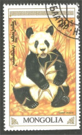 AS-174 Mongolia Panda Bar Ours Bear Orso Suportar Soportar Oso - Osos