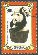 AS-173 Mongolia Panda Bar Ours Bear Orso Suportar Soportar Oso - Bears