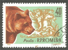 AS-177 Romania Bar Ours Bear Orso Suportar Soportar Oso - Beren