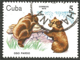 AS-161 Cuba Bar Ours Bear Orso Suportar Soportar Oso MNH ** Neuf SC - Osos