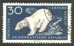AS-162 DDR Bar Ours Polaire Polar Bear Orso Suportar Soportar Oso MNH ** Neuf SC - Orsi