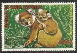 AS-154 Koala Bar Ours Bear Orso MNH ** Neuf SC - Other & Unclassified