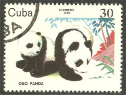 AS-138 Cuba Panda Bar Ours Bear Orso Suportar Soportar Oso - Bears