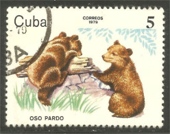 AS-137 Cuba Bar Ours Bear Orso Suportar Soportar Oso - Osos