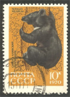 AS-127 Russie Bar Ours Bear Orso Suportar Soportar Oso - Osos