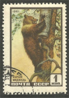 AS-126 Russie Bar Ours Bear Orso Suportar Soportar Oso - Ours