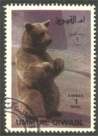 AS-128 Umm Al Qiwain Bar Ours Bear Orso Suportar Soportar Oso - Bären