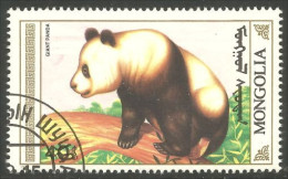 AS-132 Mongolie Bar Ours Bear Orso Suportar Soportar Oso - Ours