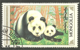 AS-131 Mongolie Panda Bar Ours Bear Orso Suportar Soportar Oso - Beren