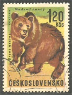 AS-129 Tchecoslovaquie Bar Ours Bear Orso Suportar Soportar Oso - Ours