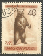 AS-124 Hongrie Bar Ours Bear Orso Suportar Soportar Oso - Beren