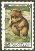 AS-117 Mongolie Bar Ours Bear Orso Suportar Soportar Oso - Beren