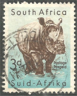 AS-106a Rhinoceros Neushoorn Nashorn Rinoceronte - Rinocerontes