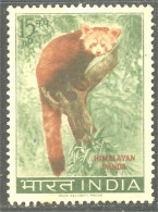 AS-103 India Panda Bar Ours Bear Orso Suportar Soportar Oso - Other & Unclassified